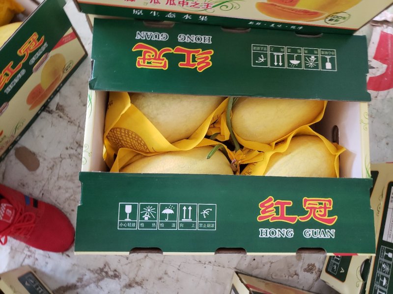 产地自销价格超实惠的密瓜