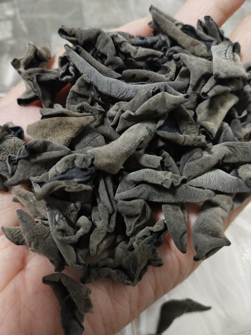 长白山纯秋耳，肉厚，品质高，口感好