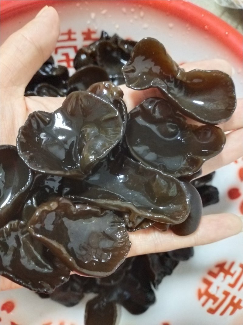 长白山纯秋耳，肉厚，品质高，口感好