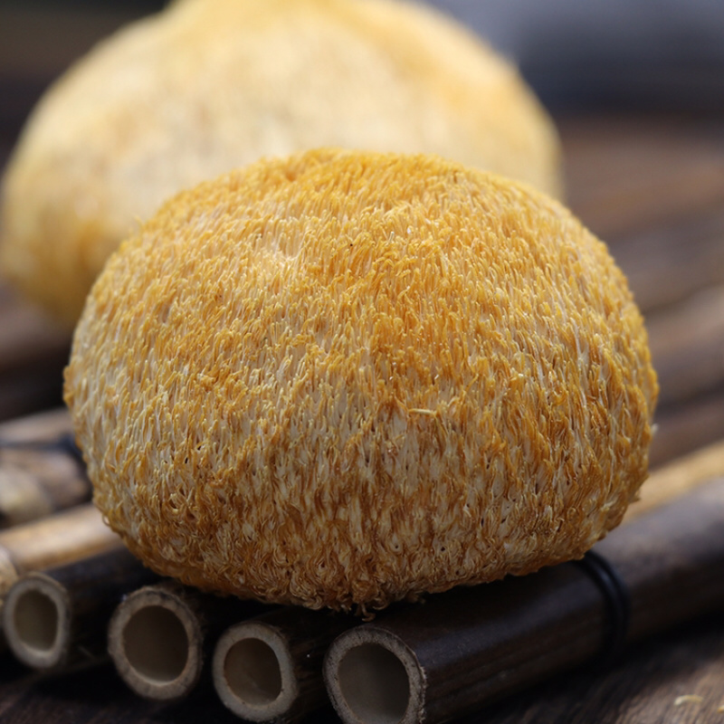 猴头菇干货猴头菌古田菌菇特产