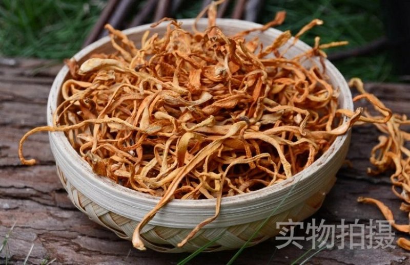 新货无硫虫草花特级北虫草干货虫草花精选500g包邮