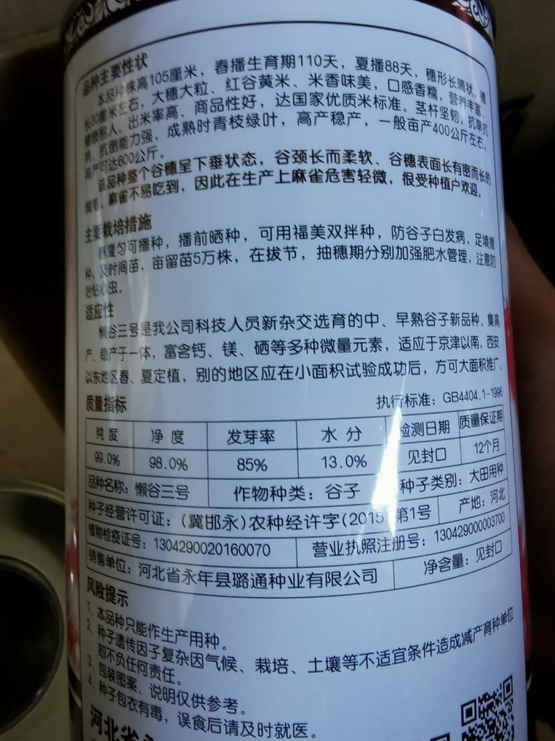 懒谷三号红谷黄米优质谷种产量高抗倒伏（红顿谷系列）