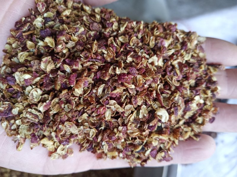 青花椒新鲜麻香厂家直发不含任何杂枝大量批发供应量大从优