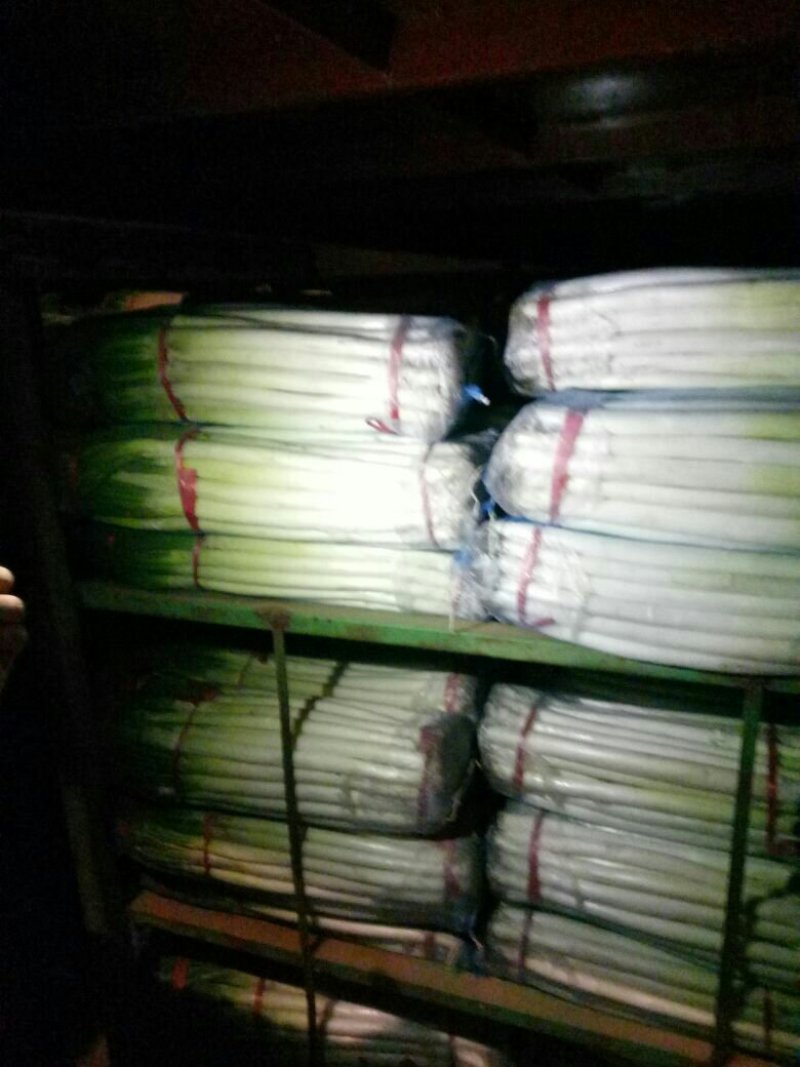 山东省安丘市凌河镇铁秆大葱