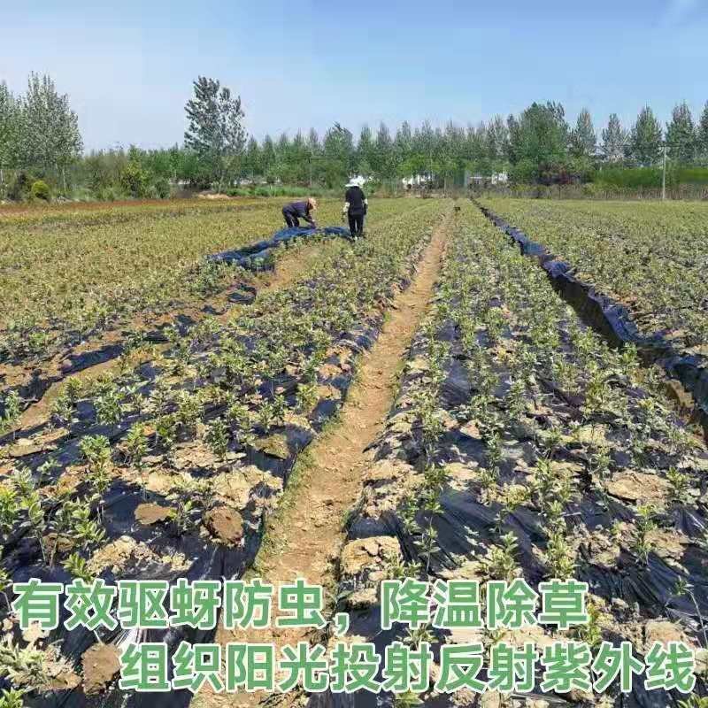 黑色地膜白地膜毛重5-8-11-20斤黑白相间地膜包邮！