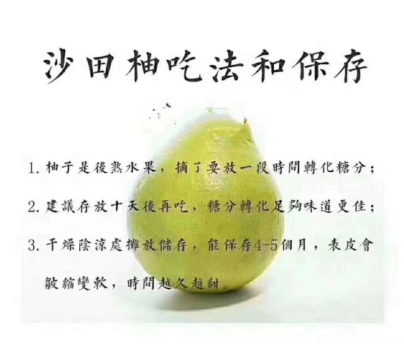 正宗梅州沙田柚酸度低果肉紧实今年11月份左右上市