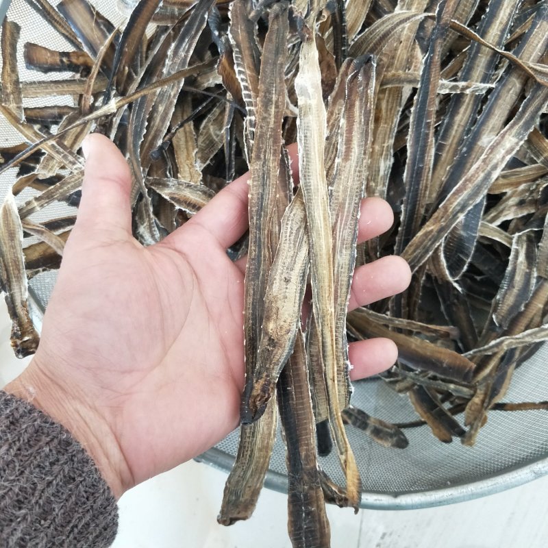 广西全开地龙欢迎来电视频可以看货