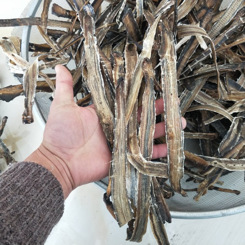 广西全开地龙欢迎来电视频可以看货