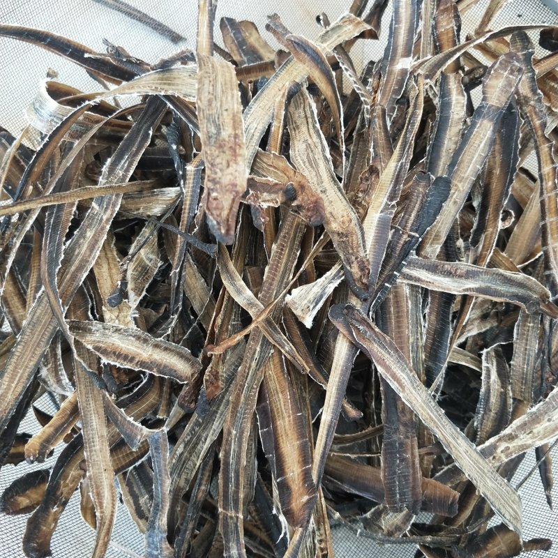 广西全开地龙欢迎来电视频可以看货