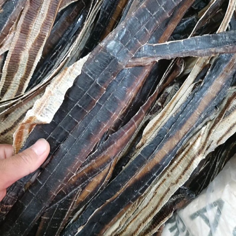 广西全开地龙欢迎来电视频可以看货