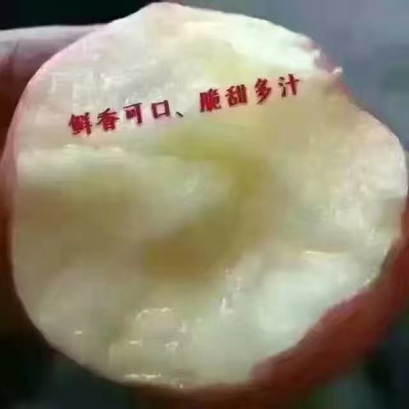 红富士苹果