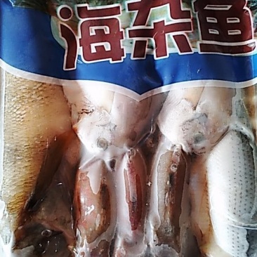 海杂鱼