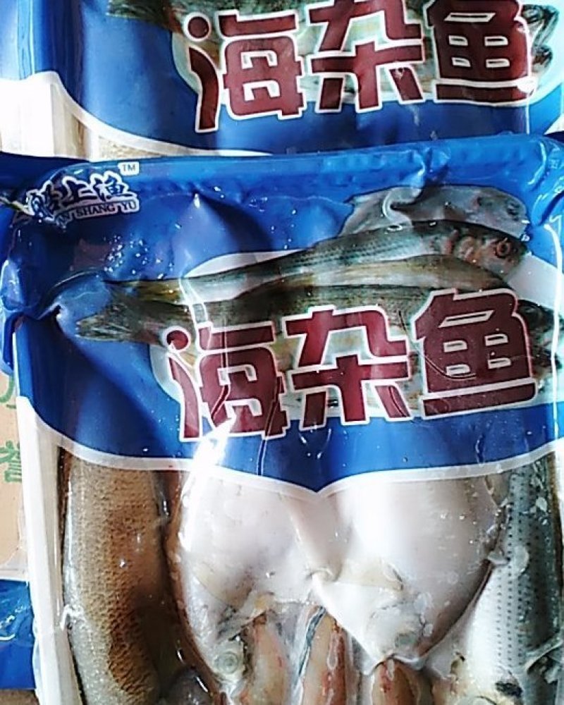 海杂鱼