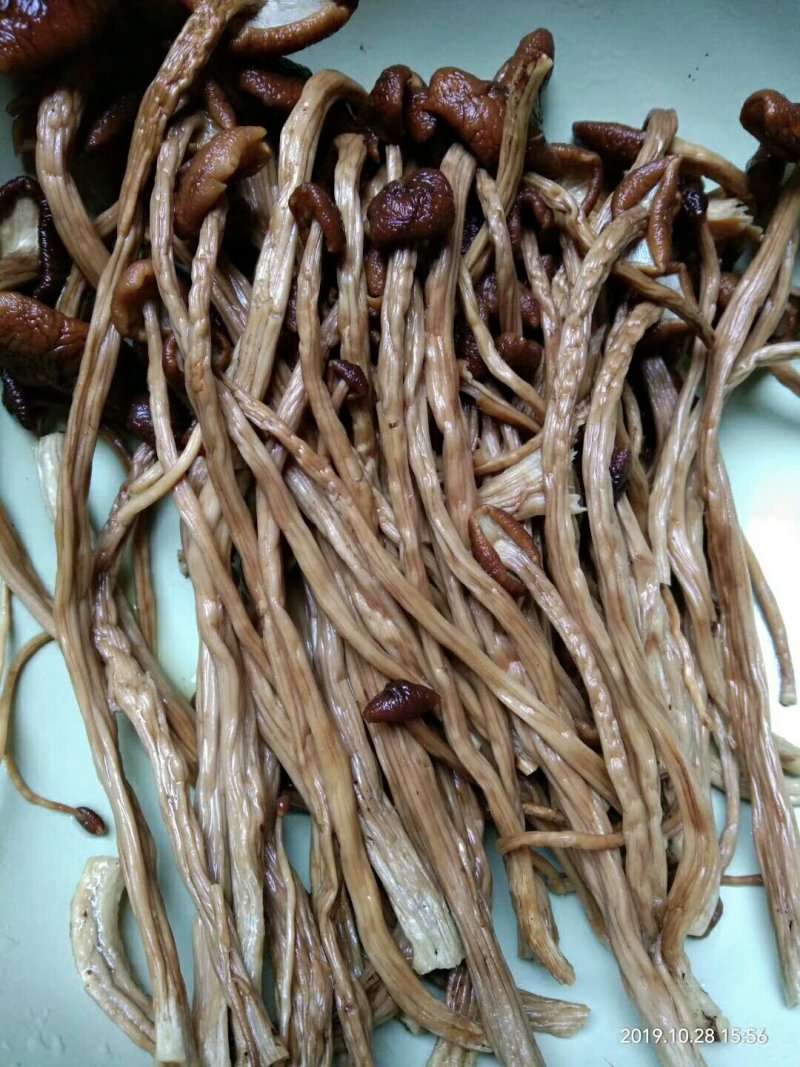 食用菌干货剪根未开伞茶树菇