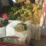 大叶菠菜