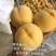 桃树苗黄金蜜桃早熟金秋红蜜映霜突围包成活签合同