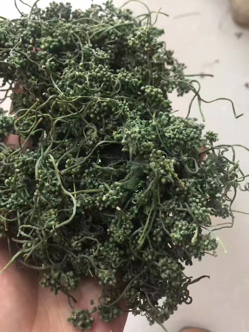 人参花