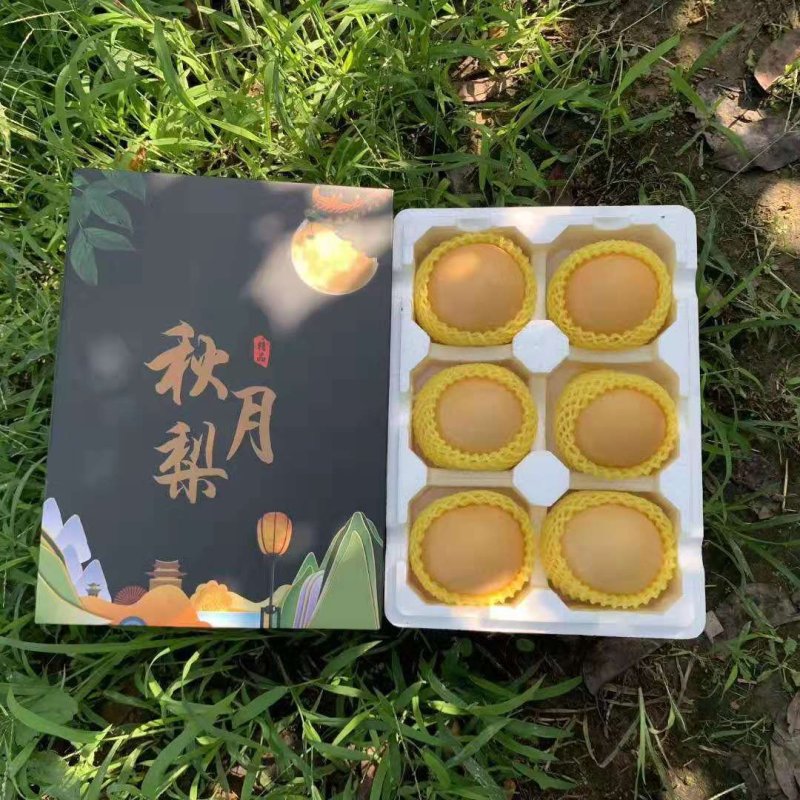 山东正宗秋月梨5斤装礼盒新鲜梨子包邮一件代发