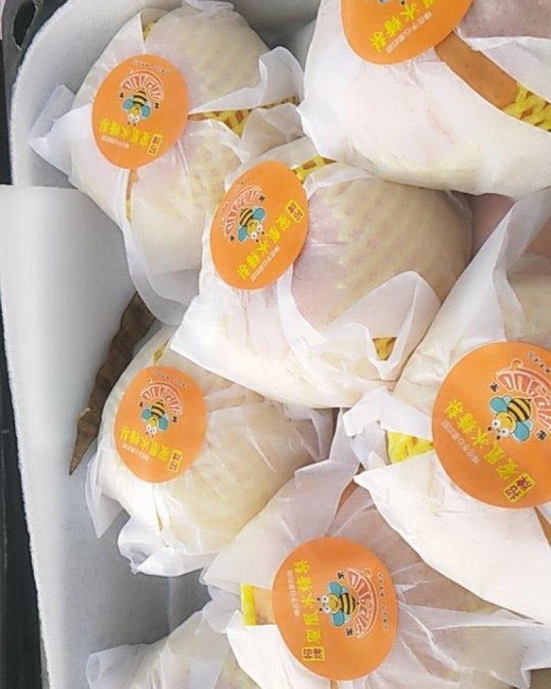 黄金冬梨