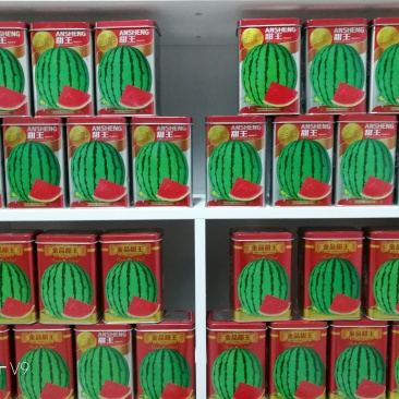 金品甜王:早熟抗病强，瓤口红糖度14以上，品质佳。