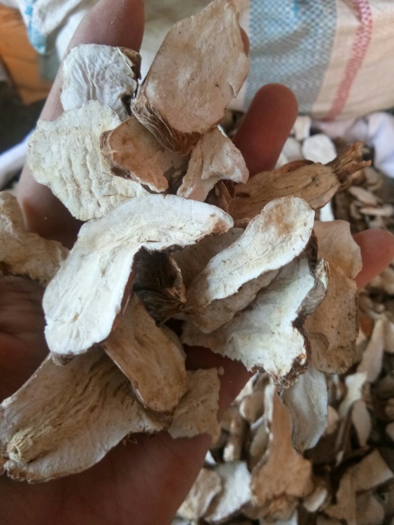 白术河北地产实心干品批发零售一公斤起发货