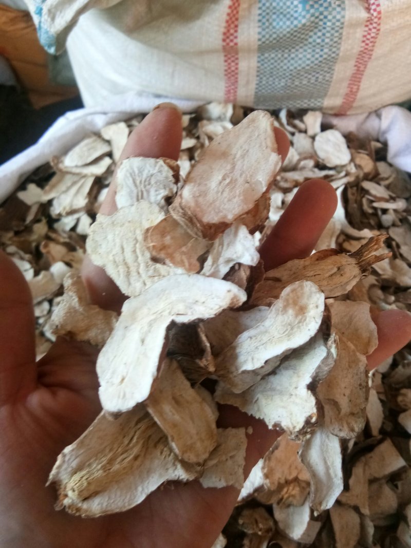 白术河北地产实心干品批发零售一公斤起发货