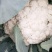 【花菜】湖北优质松花菜大量现货供应全国发售欢迎咨询