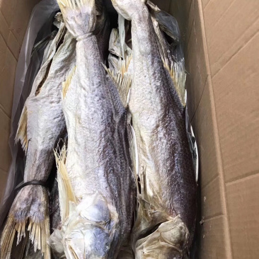 本地最经济实惠的马友鱼条