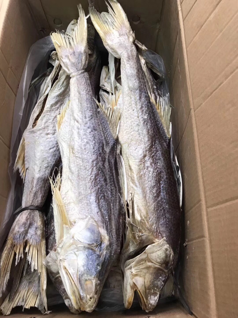 本地最经济实惠的马友鱼条