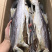本地最经济实惠的马友鱼条