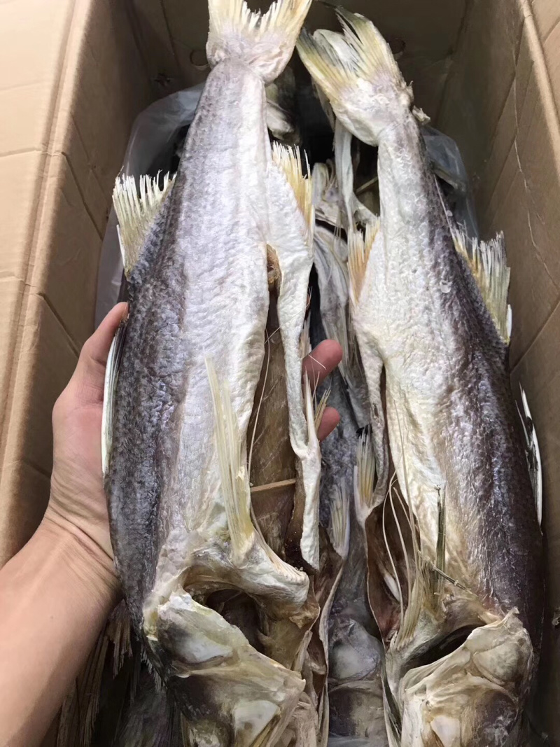 本地最经济实惠的马友鱼条