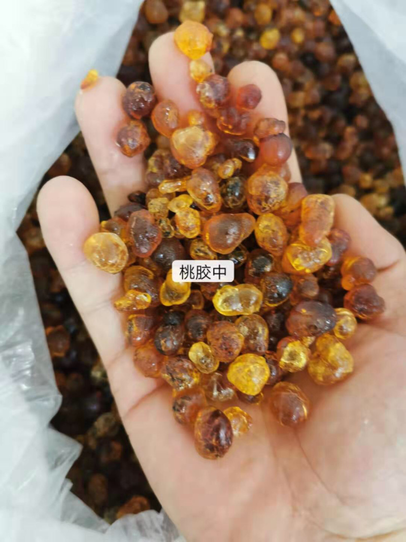 云南天然野生桃胶女人野生羹