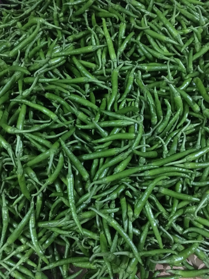 小杭椒