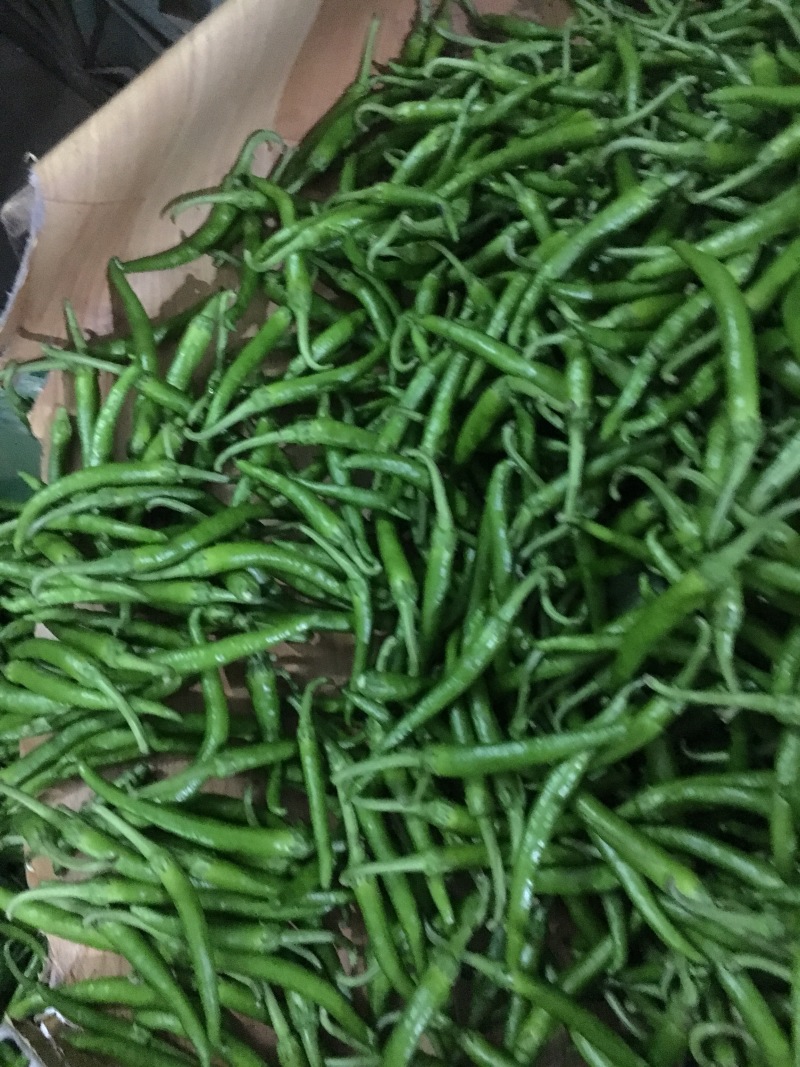 小杭椒