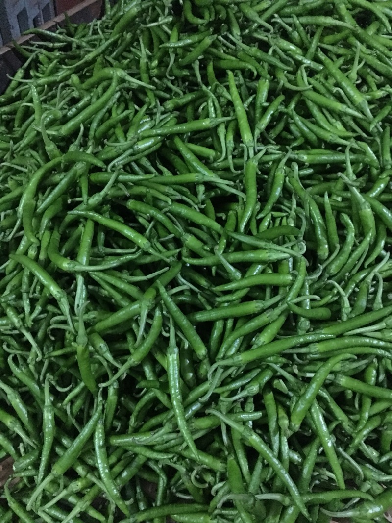 小杭椒