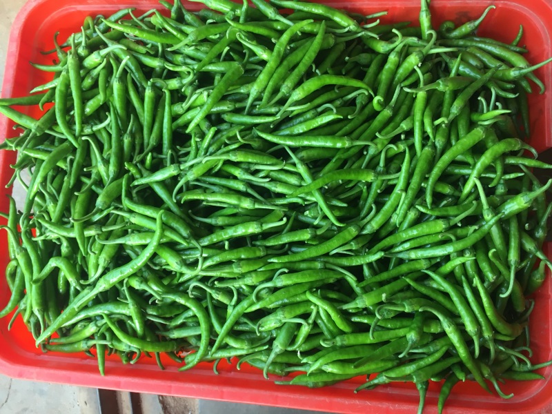 小杭椒