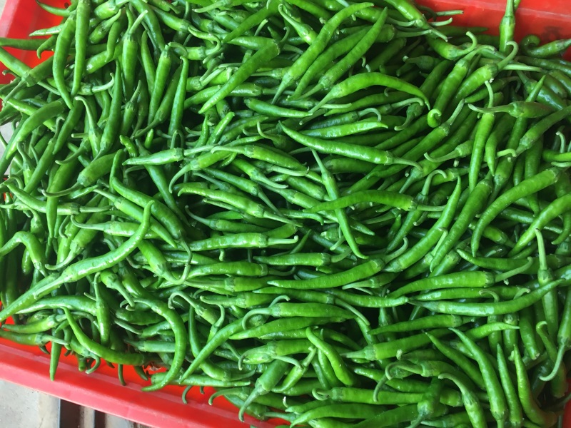 小杭椒