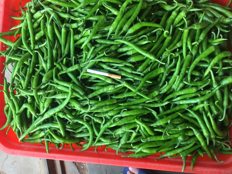 小杭椒