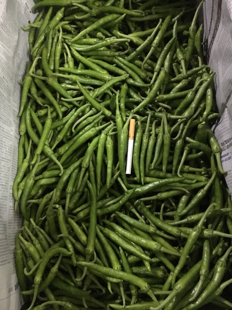 小杭椒