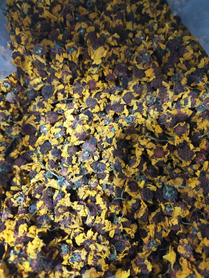 昆仑雪菊～新疆昆仑山特产菊花！色泽纯正清香