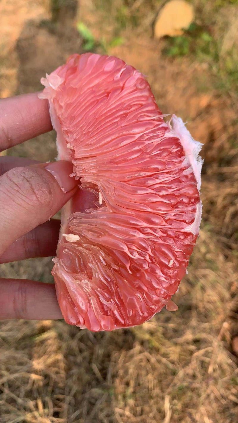 江西广丰马家柚