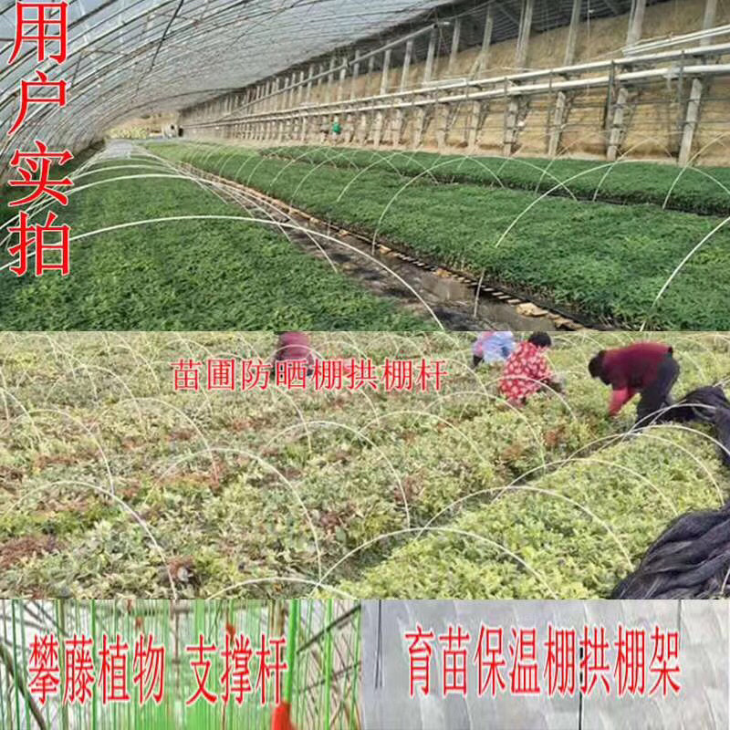 拱棚杆，支撑杆，玻璃纤维片，玻璃纤维杆，玻纤杆