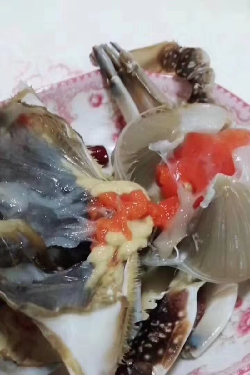 丹东东港特产腌制母蟹三点红肥