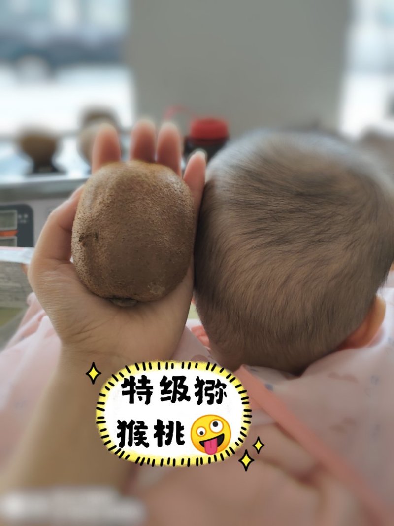 江山徐香猕猴桃