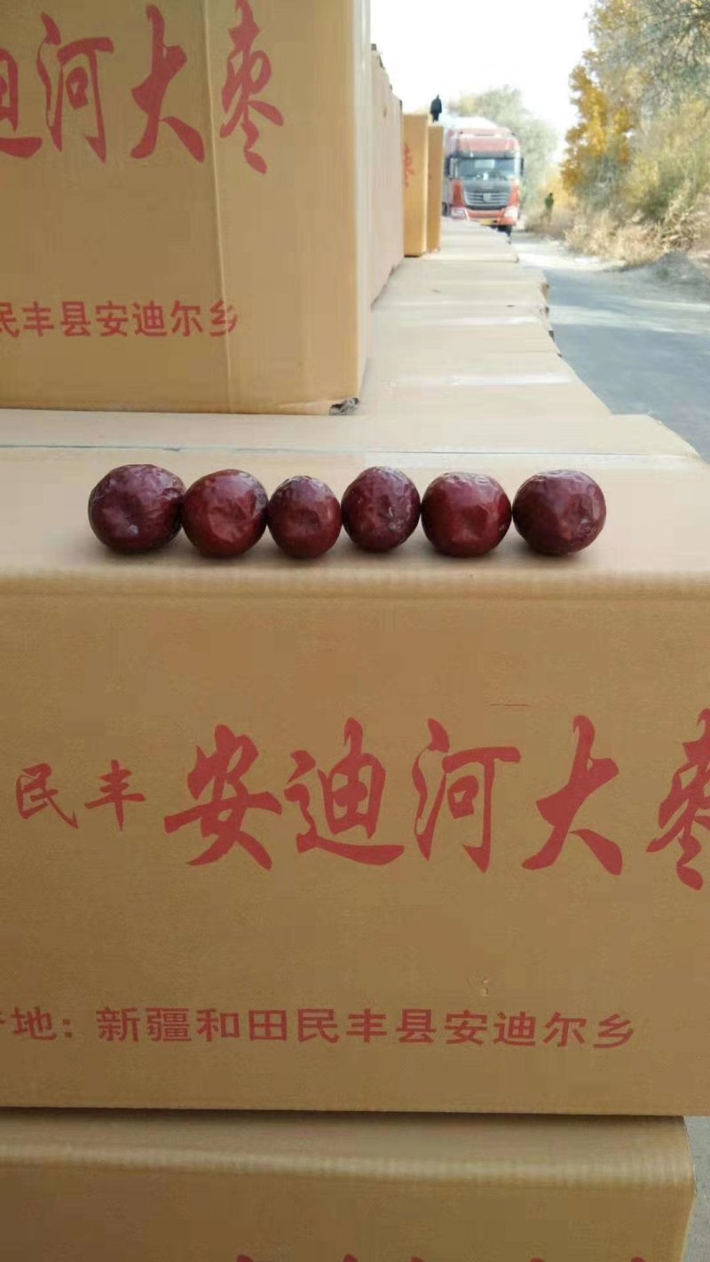 安迪尔河红枣