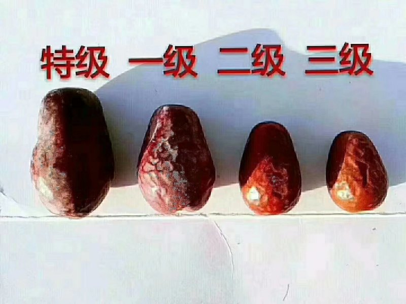 安迪尔河红枣