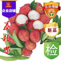 盆栽地栽果树苗糯米糍妃子笑无核荔