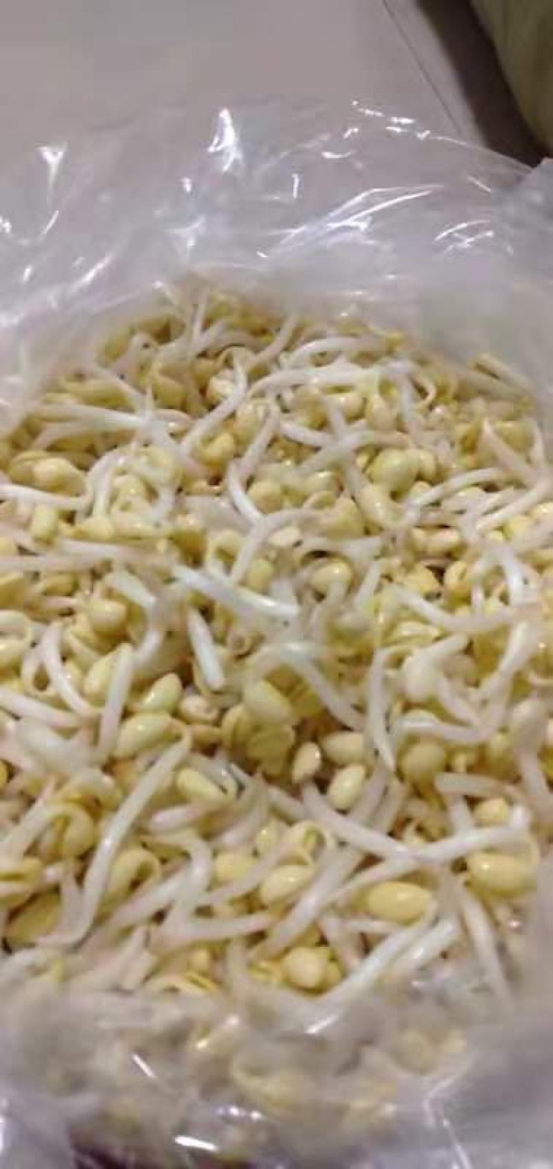 黄豆芽，扁豆芽