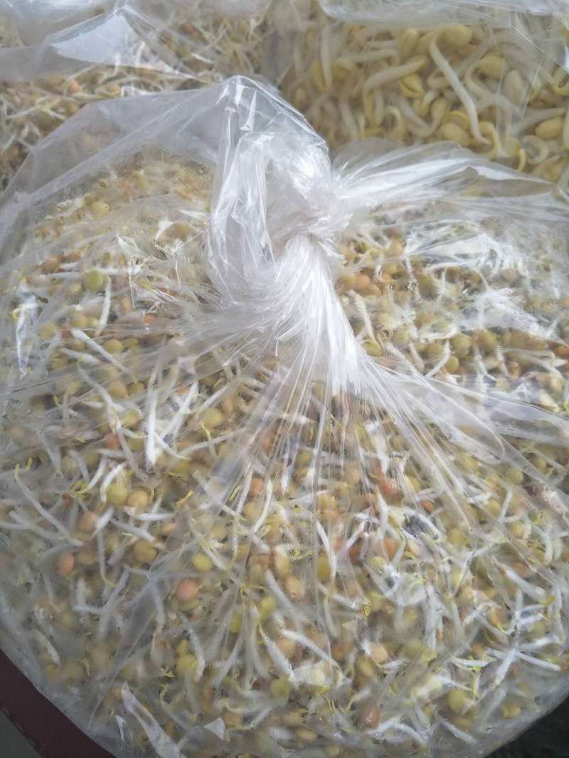 黄豆芽，扁豆芽