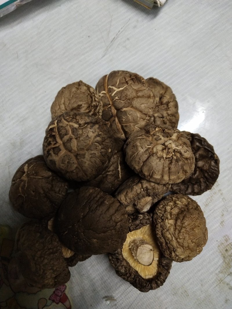 4.5精品香姑香菇香菇香菇香菇香菇香菇